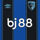 Bournemouth Away 25/26 Shirt Men's Fan Version