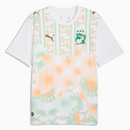 Ivory Coast Away 26/27 Men's Player Version