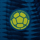 Colombia Away 26/27 Shirt Men's Fan Version