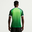 Nigeria Home 26/27 Men's Player Version