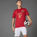 Camiseta hombre Bayern de Múnich temporada 2025 2026 edición 125 aniversario versión jugador auténtica color bordó detalles dorados calidad 1.1 oficial, Bayern Munich 2025, Camiseta Bayern 125 aniversario, Bayern jugador Authentic, Camiseta bordó Bayern, Camiseta barata Bayern, Calidad 1.1 Bayern, Edición Limitada 125 YEARS, Tienda Hincha Futbolero, Mia San Mia, Bloke Core Lujo.