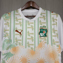 Ivory Coast Away 26/27 Shirt Men's Fan Version