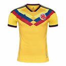 Camiseta hombre entrenamiento Selección Colombia temporada 2026 2027 oficial versión jugador fútbol técnica transpirable mundial tricolor.