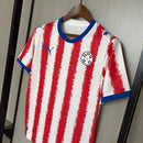 Camiseta hombre selección Paraguay temporada 2026 2027 primera equipación franjas blancas y rojas escudo bordado APF calidad 1.1 oficial, Paraguay 2026, Camiseta Paraguay roja y blanca, Paraguay 2027, Selección Paraguaya, Albirroja, Calidad 1.1 Paraguay, Eliminatorias 2026, Tienda Hincha Futbolero, Paraguay Home Jersey.