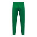 Nuevo Chándal oficial Senegal 26/27 – Chaqueta y pantalón verde, Senegal, Leones de Teranga, 26/27, Chándal, Conjunto de entrenamiento, Verde, Ropa deportiva, Fútbol Africano, Tienda Hincha Futbolero, Exclusivo
