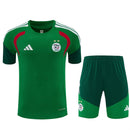 Conjunto hombre Selección Arabia Saudí temporada 2026 2027 oficial camiseta y pantalón corto verde fútbol técnica transpirable Halcones Verdes entrenamiento.