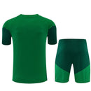 Conjunto hombre Selección Arabia Saudí temporada 2026 2027 oficial camiseta y pantalón corto verde fútbol técnica transpirable Halcones Verdes entrenamiento.