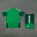 Conjunto hombre Selección Arabia Saudí temporada 2026 2027 oficial camiseta y pantalón corto verde fútbol técnica transpirable Halcones Verdes entrenamiento.