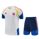 Conjunto infantil entrenamiento selección Colombia camiseta blanca y pantalón azul marino temporada 2026 2027 calidad 1.1 oficial, Colombia infantil 2026, Conjunto niño Colombia blanco azul, Ropa selección colombiana niños entrenamiento, Equipación Colombia junior 26/27, Calidad 1.1 infantil, Tienda Hincha Futbolero, Regalo niño Colombia fútbol, Chándal corto niño Colombia 2027, Colombia Kids Training Kit.